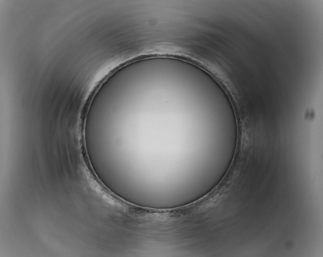 X0000111190990200907151345