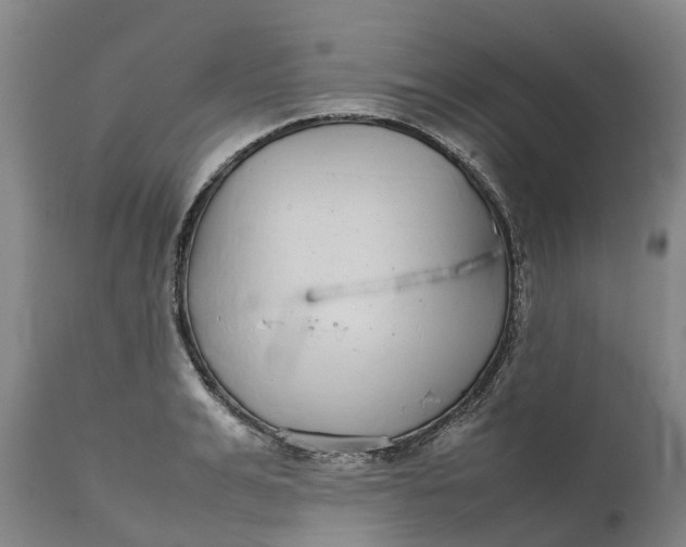 X0000111190991200907151345