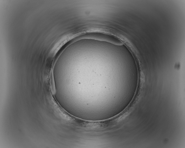 X0000111190993200907151345