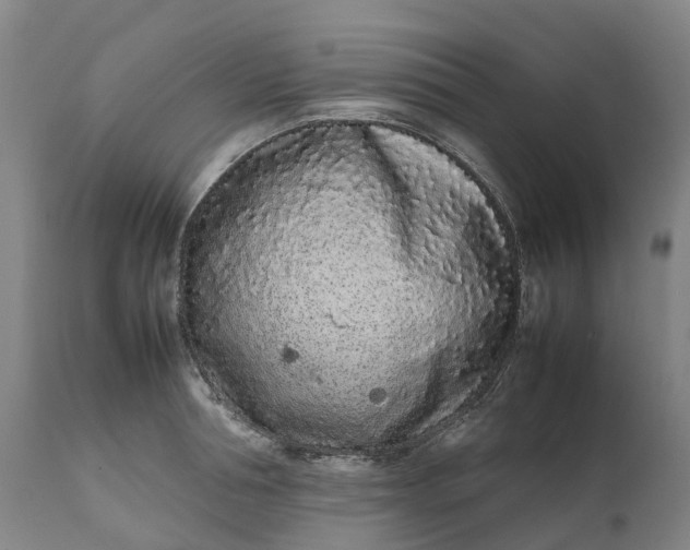 X0000111190994200907151345