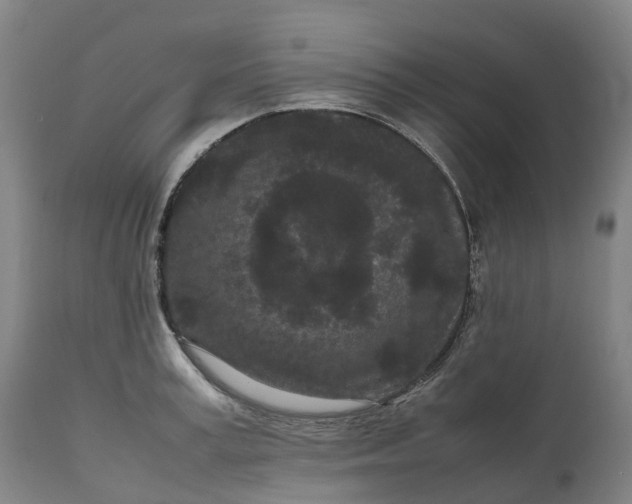 X0000111190995200907151345