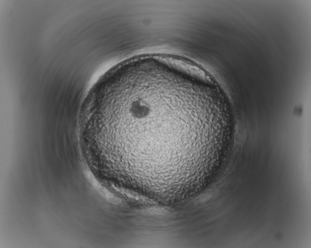 X0000111190998200907151345