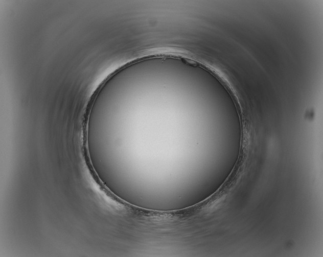 X0000111190999200907151345