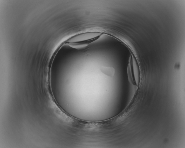 X0000111191000200907151345