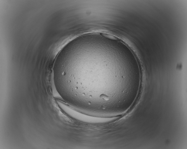 X0000111191001200907151345