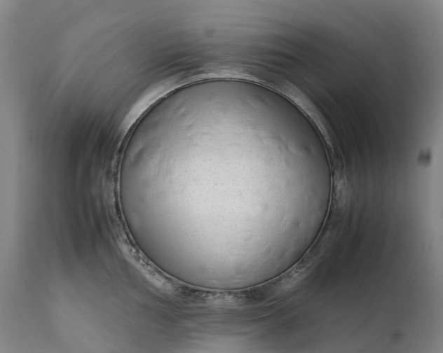 X0000111191002200907151345