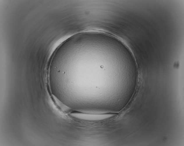 X0000111191003200907151345