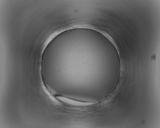 X0000111191005200907151345