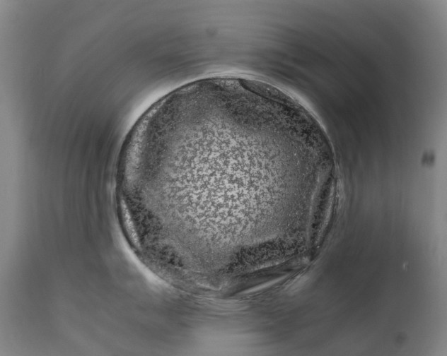 X0000111191007200907151345