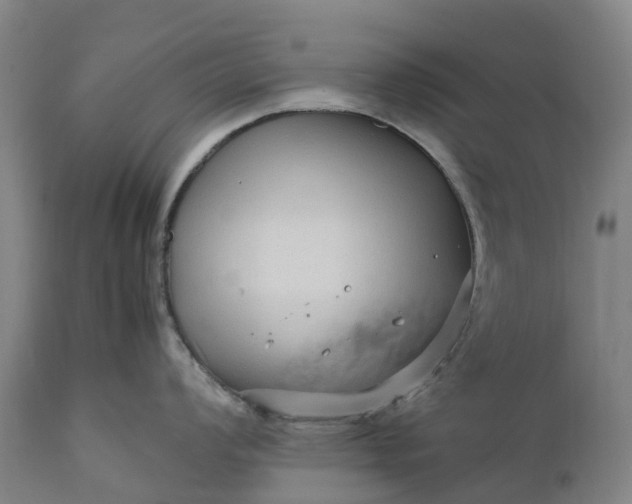 X0000111191008200907151344