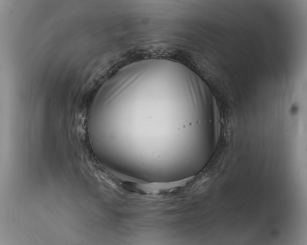 X0000111191010200907151344