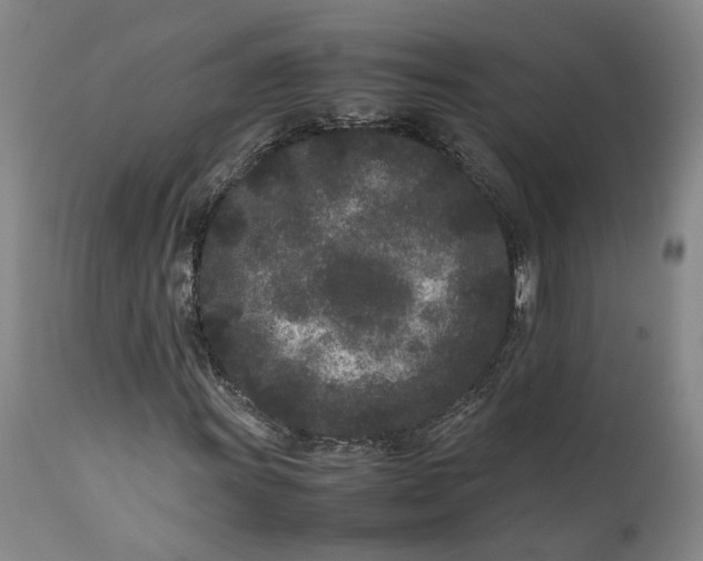 X0000111191011200907151344