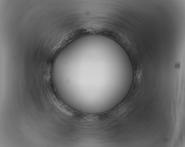 X0000111191012200907151344