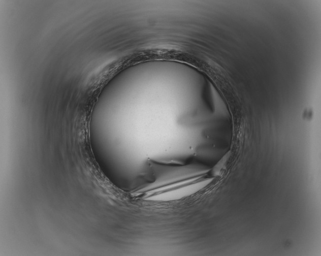 X0000111191014200907151344