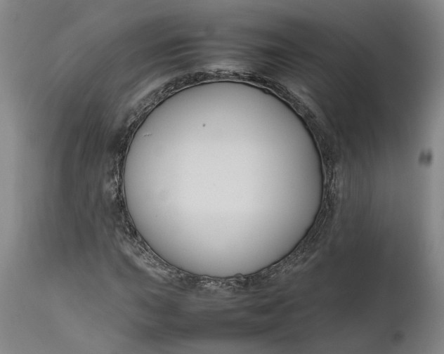 X0000111191015200907151344