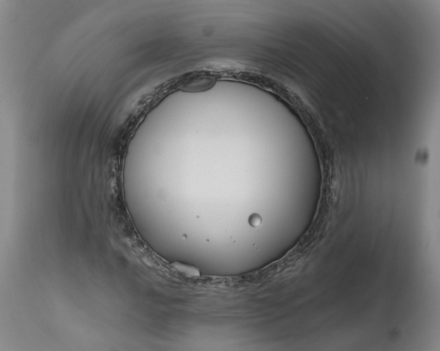 X0000111191016200907151344