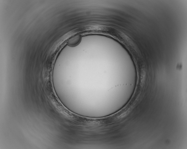 X0000111191017200907151344