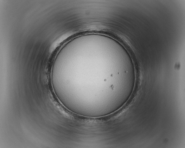 X0000111191018200907151344