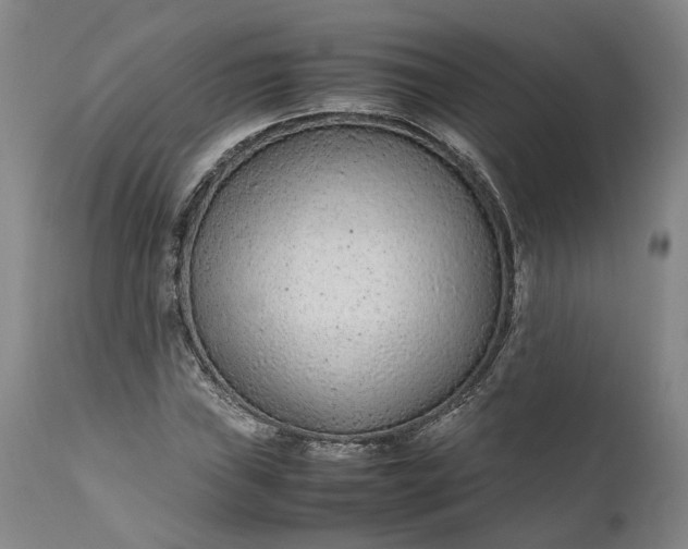 X0000111191019200907151344