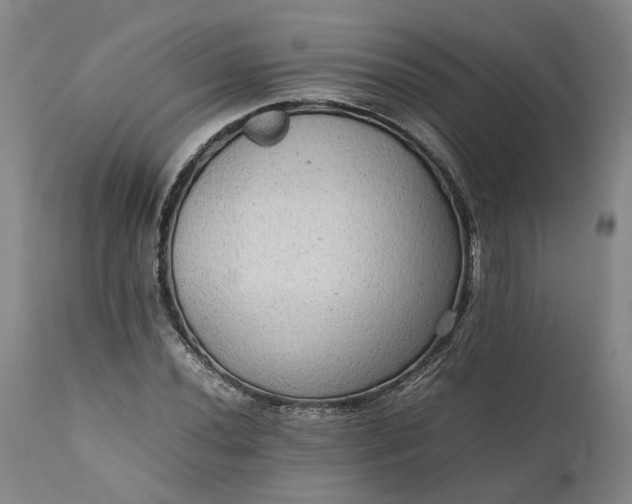 X0000111191020200907151344