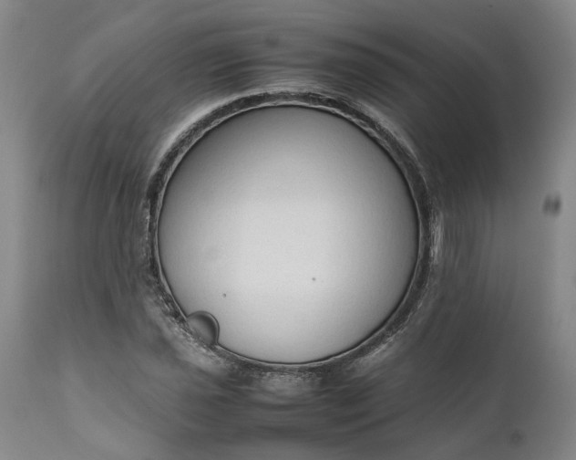 X0000111191021200907151344