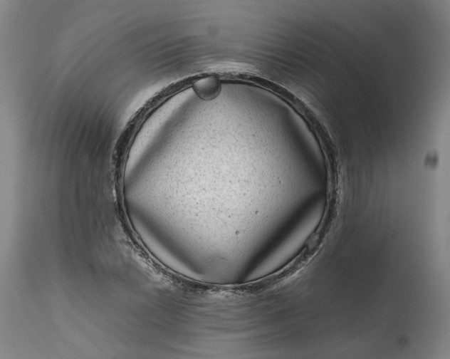 X0000111191022200907151344