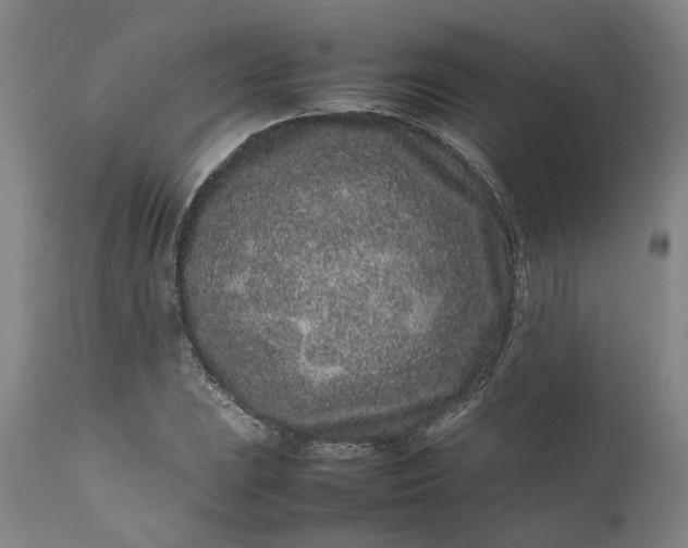 X0000111191023200907151344