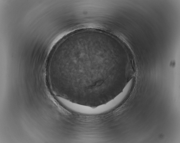 X0000111191024200907151344