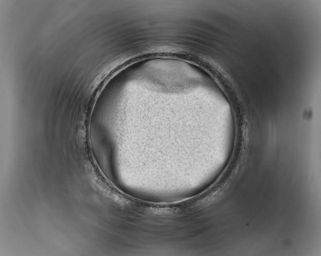 X0000111191025200907151344