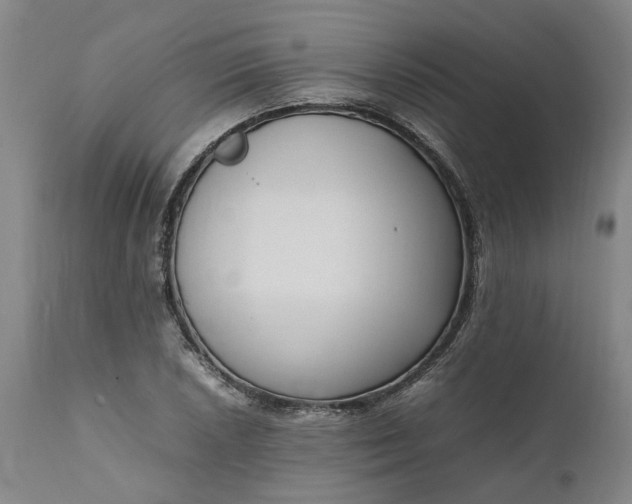 X0000111191026200907151344