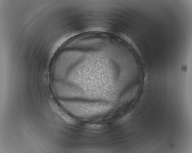 X0000111191027200907151344