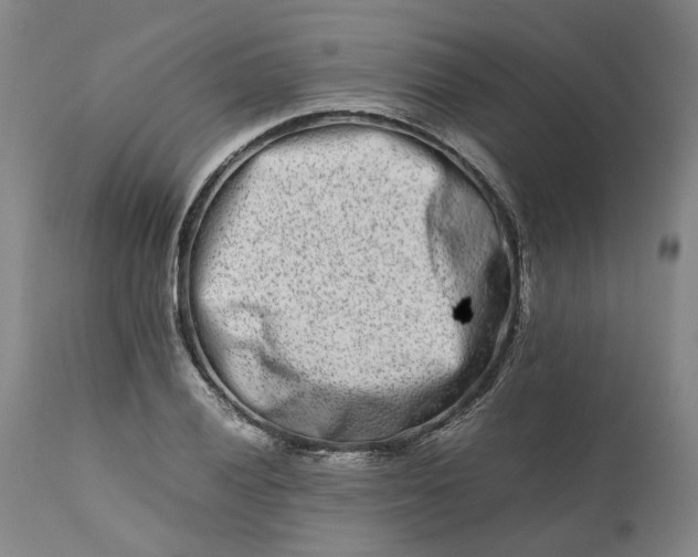 X0000111191028200907151344