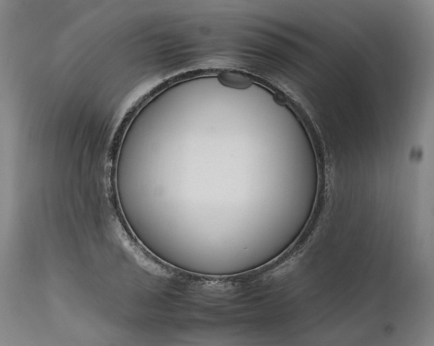 X0000111191029200907151344