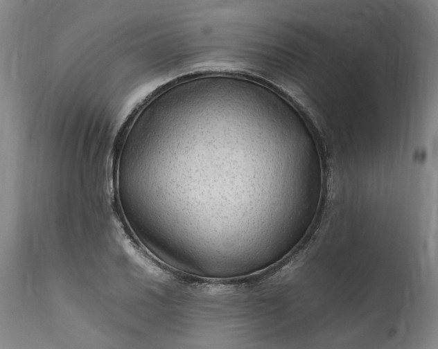 X0000111191030200907151344