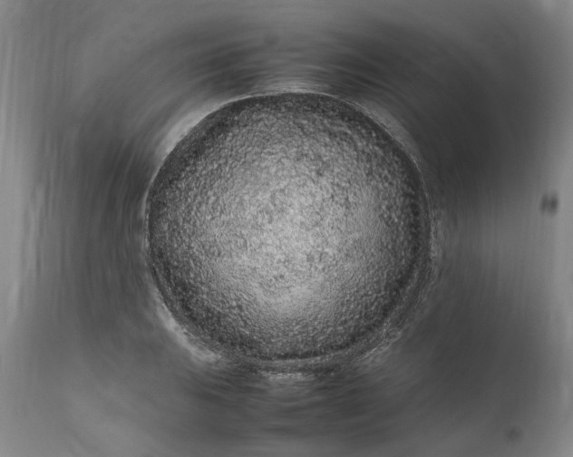 X0000111191031200907151344