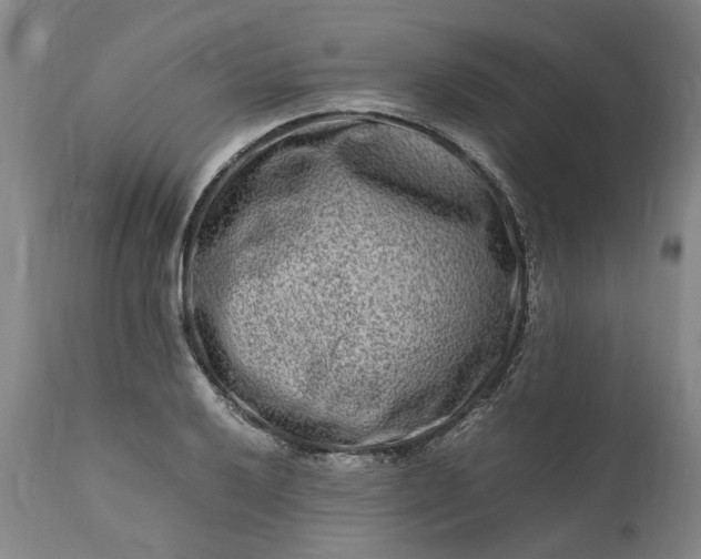 X0000111191032200907151344