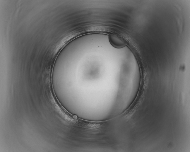 X0000111191033200907151344