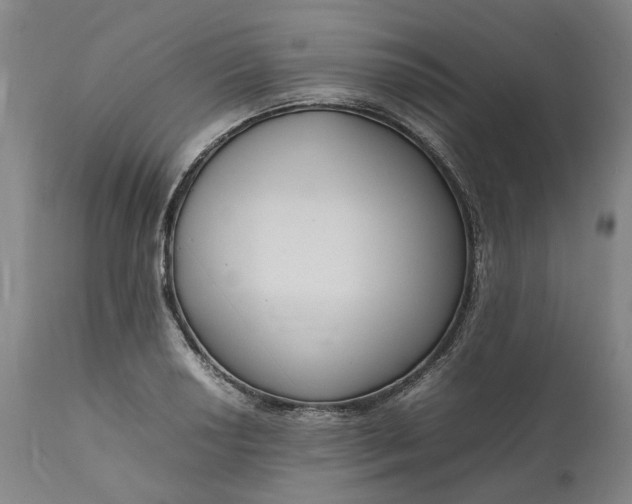 X0000111191034200907151344