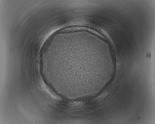 X0000111191035200907151344