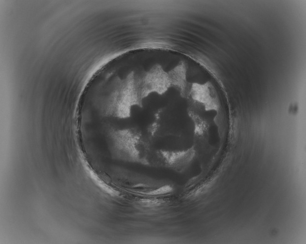 X0000111191037200907151344