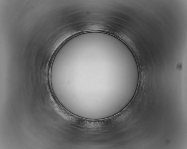 X0000111191039200907151344