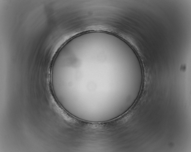 X0000111191040200907151344