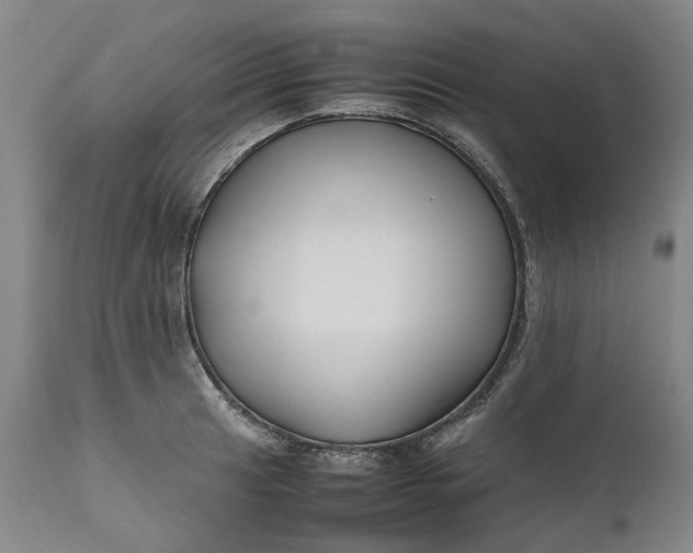 X0000111191041200907151344