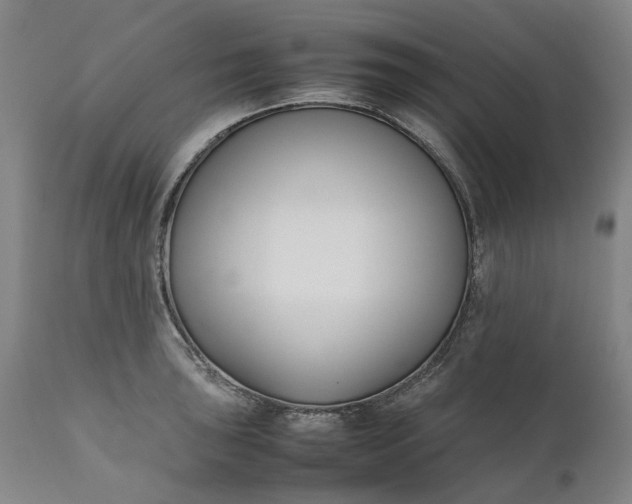 X0000111191043200907151344