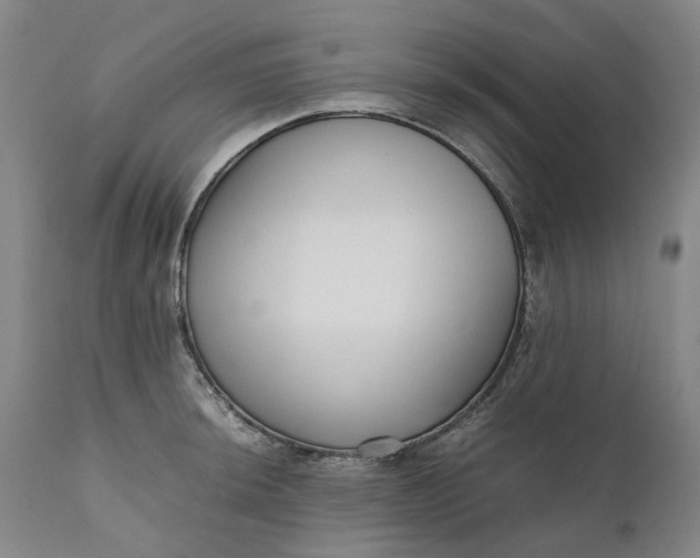 X0000111191044200907151344