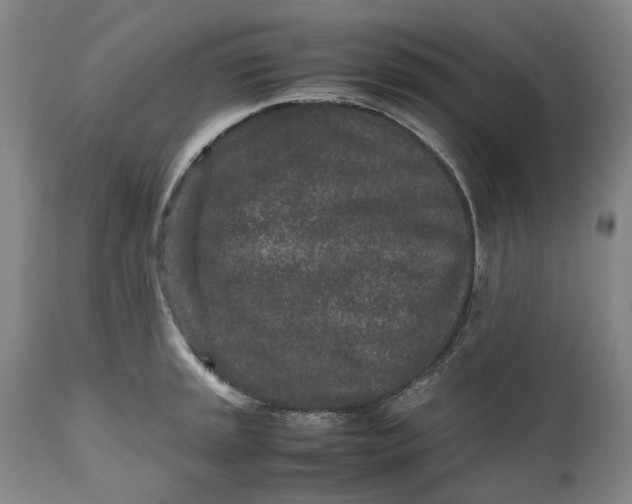 X0000111191045200907151344