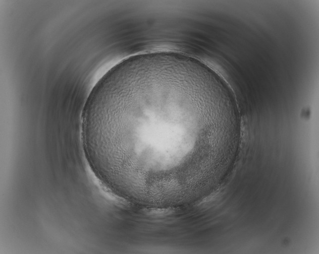 X0000111191047200907151344