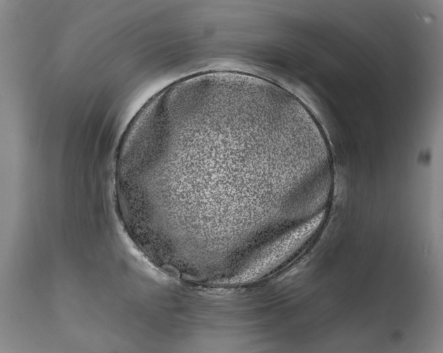 X0000111191048200907151344