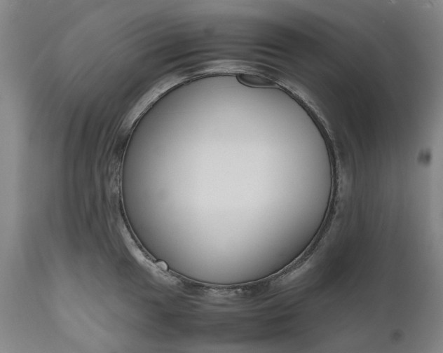 X0000111191049200907151344