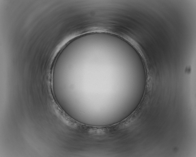 X0000111191051200907151344